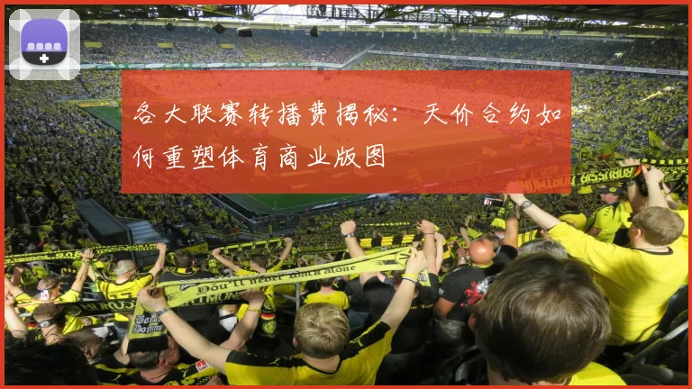各大联赛转播费揭秘：天价合约如何重塑体育商业版图